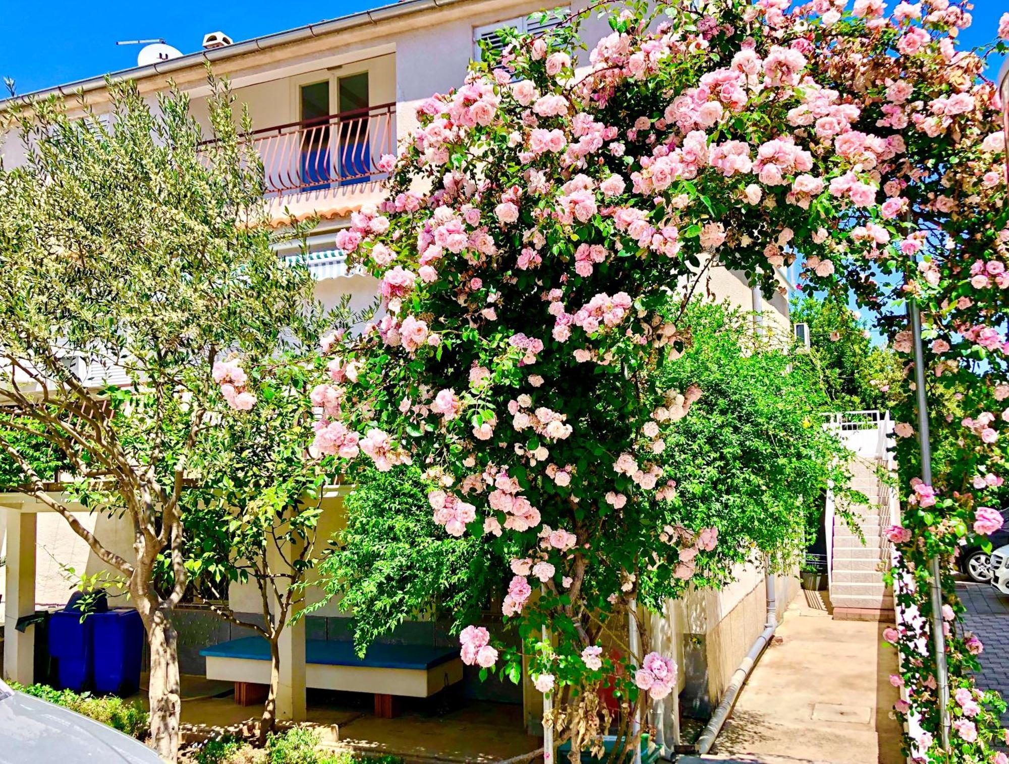 Apartments Cala 비오그라드나모루 객실 사진